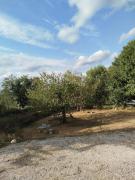 Top Corgnac-sur-lʼIsle