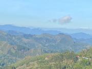 Top San Francisco Top San Francisco