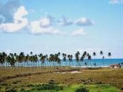 Top Porto de Galinhas