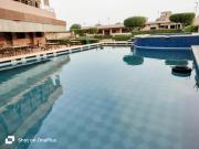 Top Jodhpur