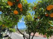Top Monte SantʼAngelo