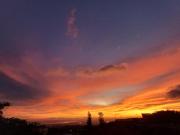 Top Monteverde