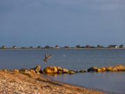 Martinas Mare de Luxe