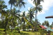 Top Ko Phangan