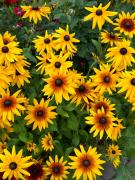 Top Szklarska Poręba Top Szklarska Poręba