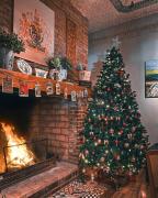 Hotel Britanico Express