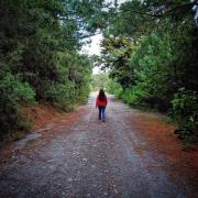 Top El Oro de Hidalgo