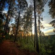 Top El Oro de Hidalgo