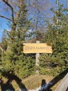 Top Turya Pasika Top Turya Pasika