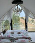 Top Dolní Bojanovice