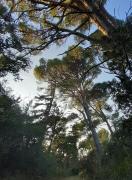 sur les pas des templiers