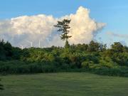 Top Jeju