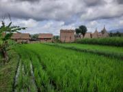 Top Karangasem