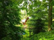 Top Planá nad Lužnicí