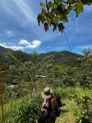 Top San Rafael