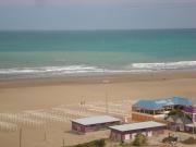 Top Necochea