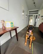 Vagabond Mermaid Guesthouse