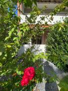 Pension Braun - Dein Ankerplatz