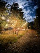 Top Kazimierz Dolny Top Kazimierz Dolny