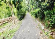 Top Likupang