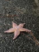 Ferienwohnung-Arp-1-22