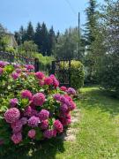 Top Ferrara di Monte Baldo