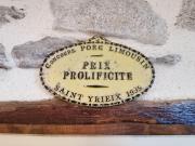 Top Ladignac-le-Long