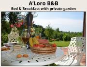 Top Terranuova Bracciolini