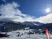 Top Laveissière