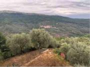 Top Ville San Pietro
