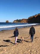 Aireys Bush Sanctuary