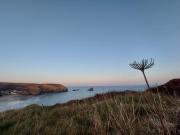 Top Portreath