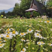 Top Hijuelas Top Hijuelas