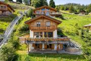 Chalet Sapin Argente