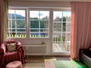 Ferienwohnung Alva Hinterzarten