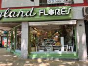 Top Mendoza
