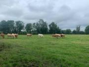 Fort View accommodation lisacul