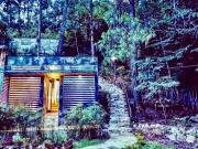 Top San Cristóbal de Las Casas