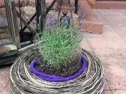 Top Bruchweiler-Bärenbach