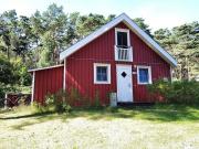 Austernperle - Baabe