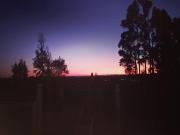 Top Castro Top Castro