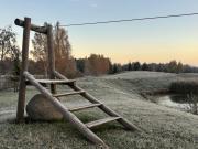 Top Dolnāja
