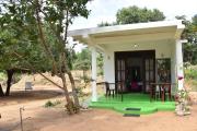 Sigiri Elephant View Guest
