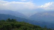 Top Darjeeling