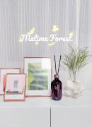 Metime Forest