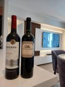 Luxurious Apartment Besso