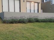 Studio Libertas