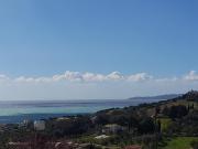 Top Arillas