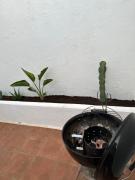 Top Las Lagunas Mijas