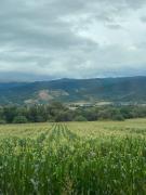 Top Formiguères